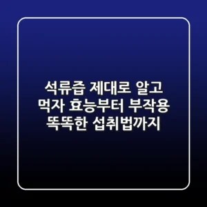 석류즙, 제대로 알고 먹자! 효능부터 부작용, 똑똑한 섭취법까지