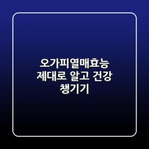 오가피열매효능 제대로 알고 건강 챙기기!