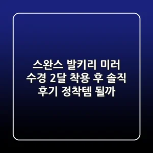 스완스 발키리 미러 수경: 2달 착용 후 솔직 후기! 정착템 될까?