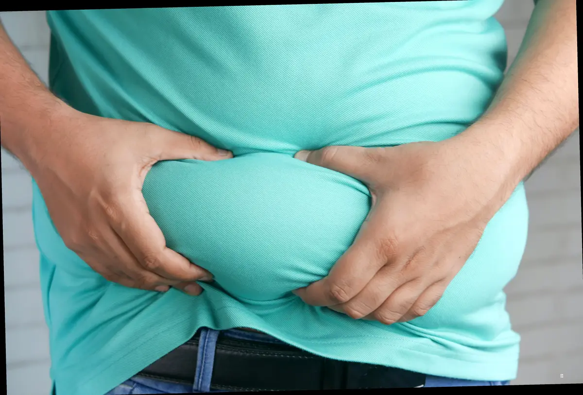 부작용 걱정 없이! 마황 다이어트 안전하게 즐기는 비법