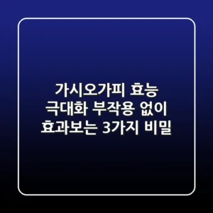 가시오가피 효능 극대화: 부작용 없이 효과보는 3가지 비밀