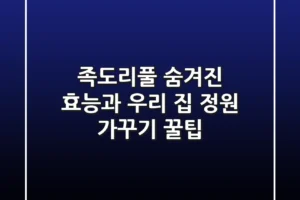 족도리풀, 숨겨진 효능과 우리 집 정원 가꾸기 꿀팁