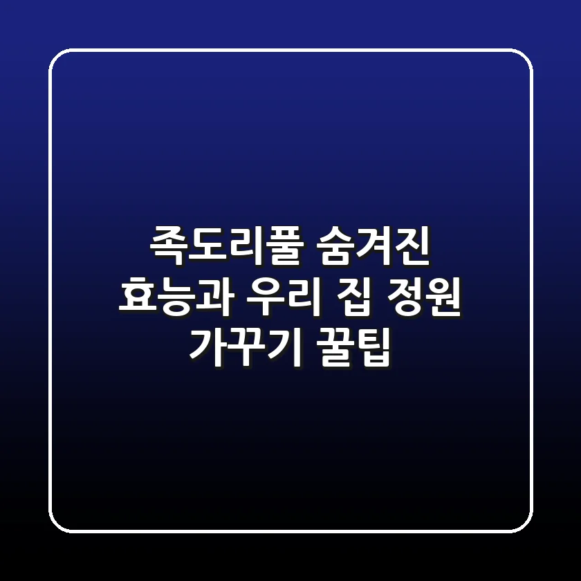 족도리풀, 숨겨진 효능과 우리 집 정원 가꾸기 꿀팁