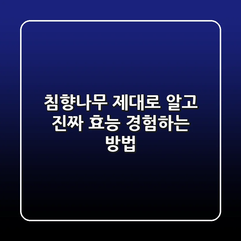 침향나무 제대로 알고, 진짜 효능 경험하는 방법