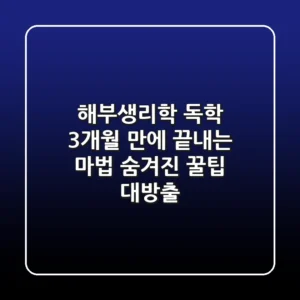 해부생리학 독학, 3개월 만에 끝내는 마법: 숨겨진 꿀팁 대방출