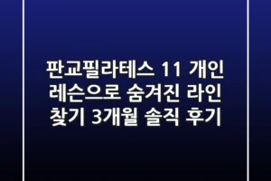 판교필라테스: 1:1 개인 레슨으로 숨겨진 라인 찾기, 3개월 솔직 후기