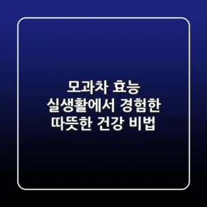 모과차 효능, 실생활에서 경험한 따뜻한 건강 비법