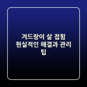 겨드랑이 살 접힘: 현실적인 해결과 관리 팁