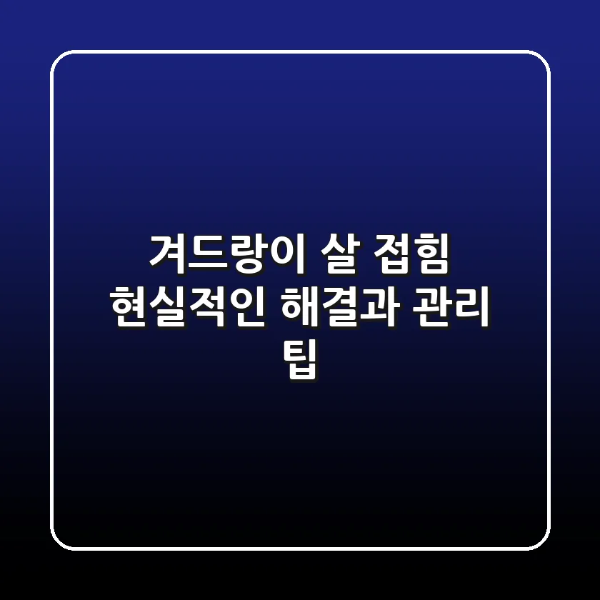 겨드랑이 살 접힘: 현실적인 해결과 관리 팁