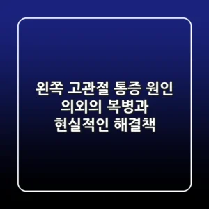 왼쪽 고관절 통증 원인, 의외의 복병과 현실적인 해결책