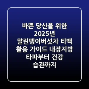 바쁜 당신을 위한 2025년 말린팽이버섯차 티백 활용 가이드: 내장지방 타파부터 건강 습관까지!