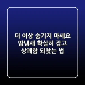 더 이상 숨기지 마세요: 땀냄새, 확실히 잡고 상쾌함 되찾는 법