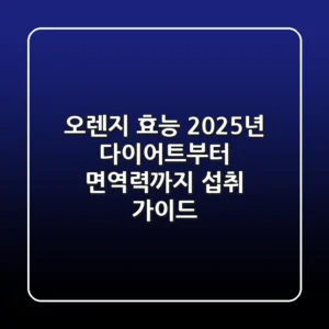 오렌지 효능: 2025년 다이어트부터 면역력까지 섭취 가이드