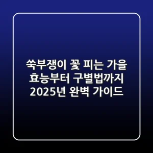쑥부쟁이 꽃 피는 가을, 효능부터 구별법까지 2025년 완벽 가이드