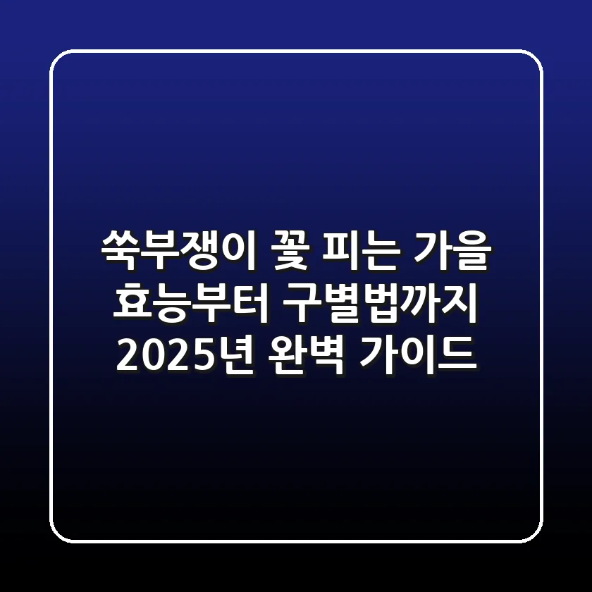 쑥부쟁이 꽃 피는 가을, 효능부터 구별법까지 2025년 완벽 가이드