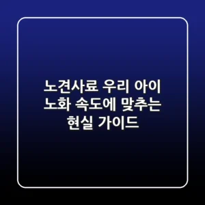 노견사료, 우리 아이 노화 속도에 맞추는 현실 가이드