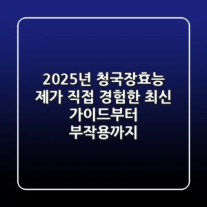 2025년 청국장효능, 제가 직접 경험한 최신 가이드부터 부작용까지!