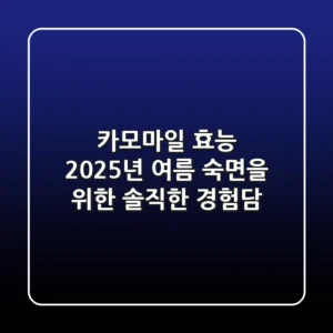 카모마일 효능, 2025년 여름 숙면을 위한 솔직한 경험담