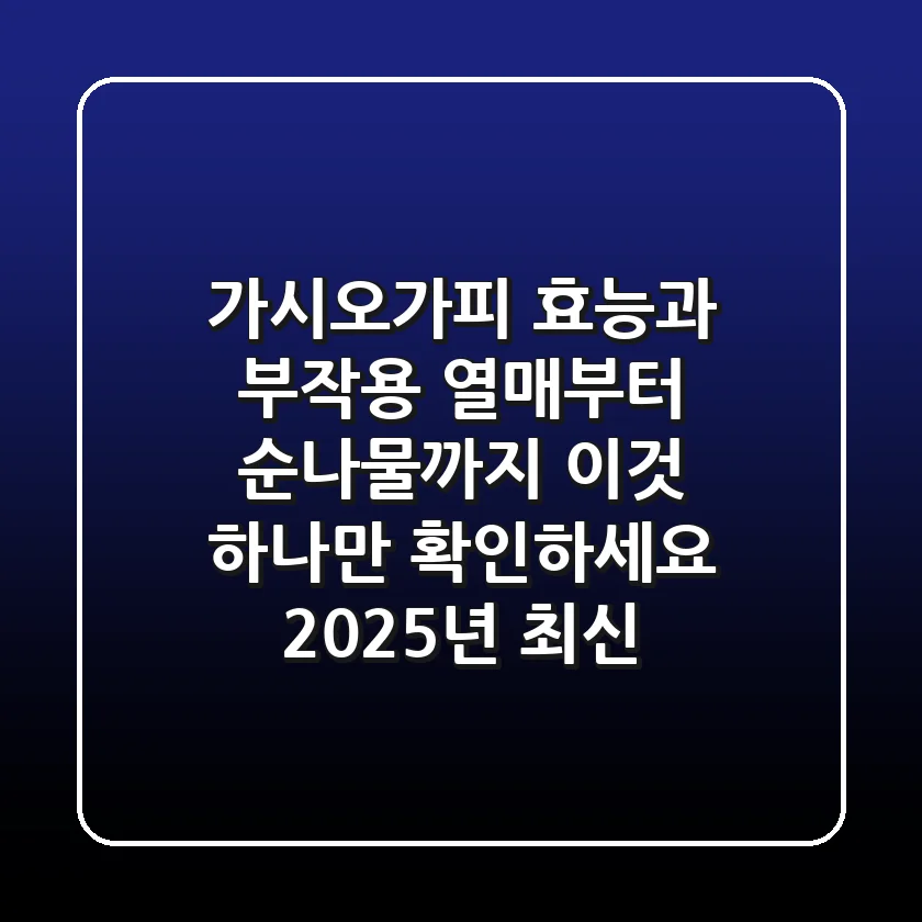 가시오가피 효능과 부작용, 열매부터 순나물까지 '이것' 하나만 확인하세요 (2025년 최신)