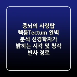"중뇌의 사령탑, 텍툼(Tectum) 완벽 분석": 신경학자가 밝히는 시각 및 청각 반사 경로