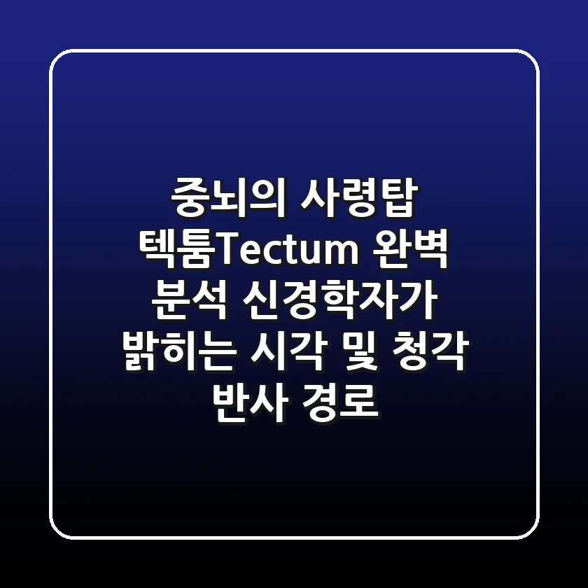 "중뇌의 사령탑, 텍툼(Tectum) 완벽 분석": 신경학자가 밝히는 시각 및 청각 반사 경로