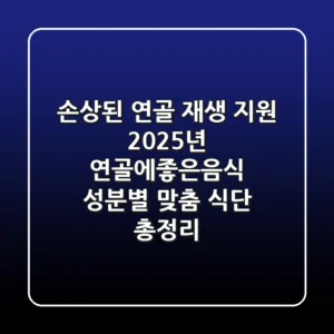"손상된 연골 재생 지원?", 2025년 연골에좋은음식 성분별 맞춤 식단 총정리
