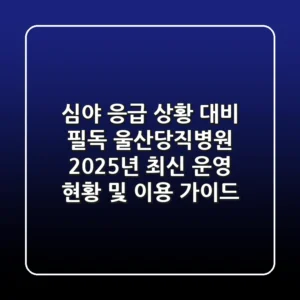 "심야 응급 상황 대비 필독", 울산당직병원 2025년 최신 운영 현황 및 이용 가이드