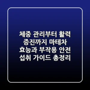 "체중 관리부터 활력 증진까지", 마테차 효능과 부작용, 안전 섭취 가이드 총정리