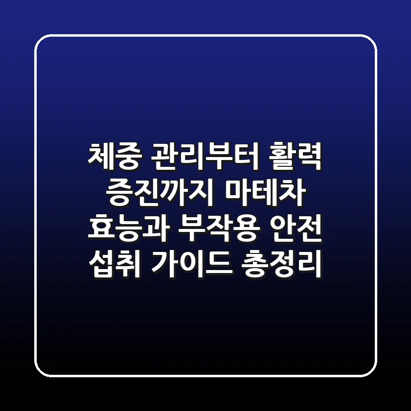 "체중 관리부터 활력 증진까지", 마테차 효능과 부작용, 안전 섭취 가이드 총정리