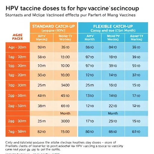 '간격'이 암 예방 성패를 좌우한다: 접종 시기 이탈 시 대처법